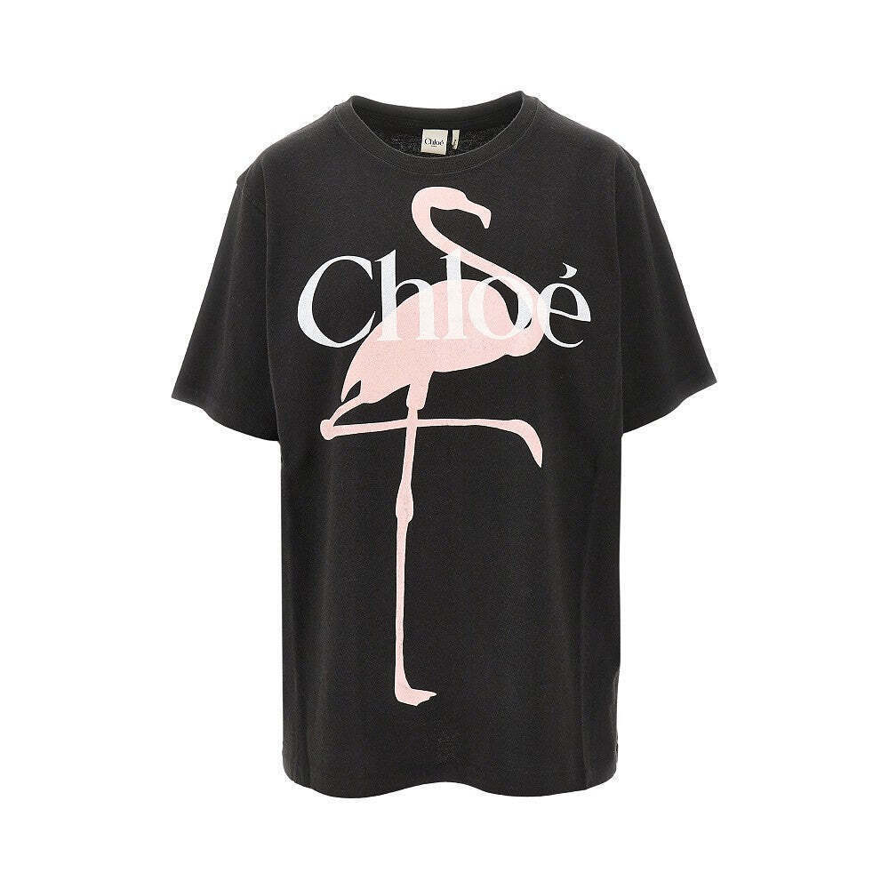 Chloe' Flamingo Print Relaxed Fit T-Shirt